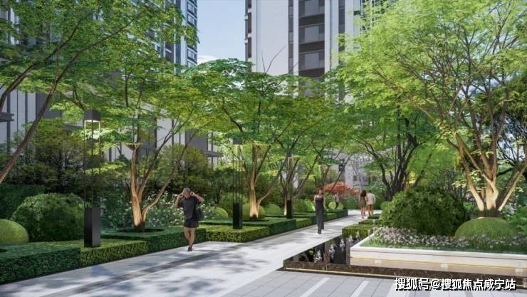楼盘网站2025保利欢迎您 楼盘详情户型尊龙凯时app保利光合上城(光合上城)(图18)